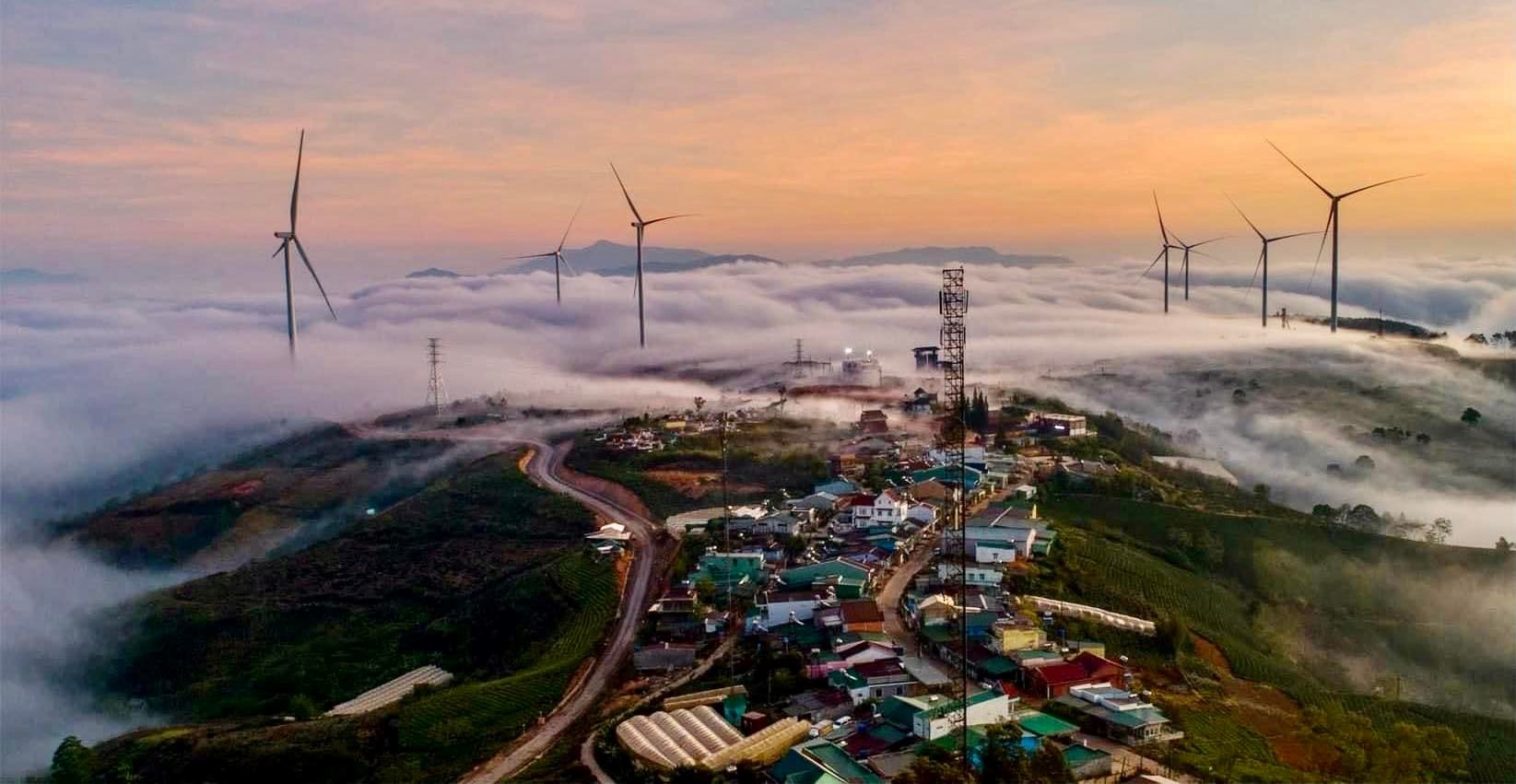 Đồi chè Cầu Đất
